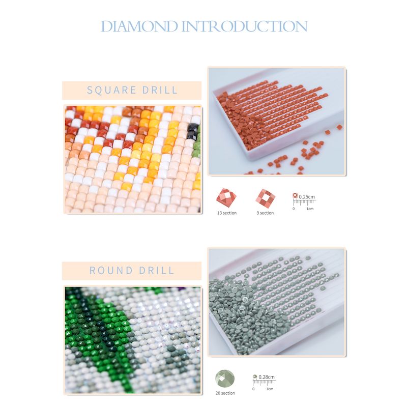 1pc frameless  5D Diamond Pain - Embroidery Flower recensione e prezzo