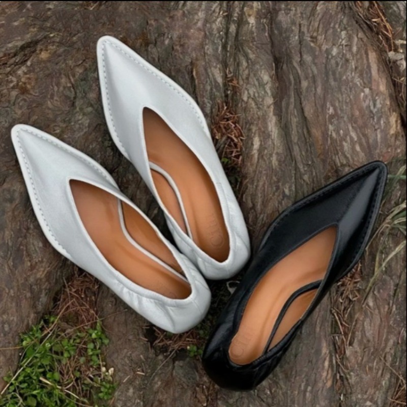 2025 New Pointed Toe Single Sh - Embroidery Flat Shoes recensione e prezzo